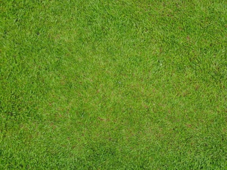 Techniques professionnelles pour la tonte de gazon &agrave; Veckring