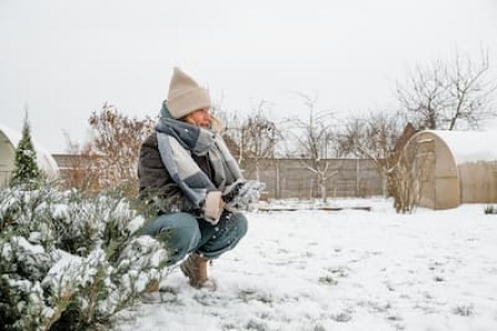 winter-games-family-playing-snowballs-in-the-cour-2025-03-11-08-17-06-utc (1).jpg
